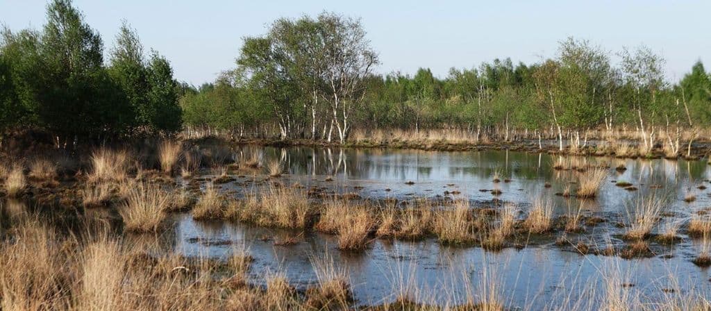 Emmerdennen in de buurt Bargerveen 3
