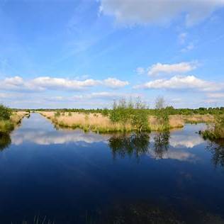 Emmerdennen in de buurt Bargerveen water (2)