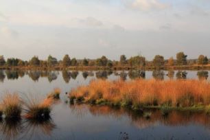 Emmerdennen in de buurt bargerveen 4