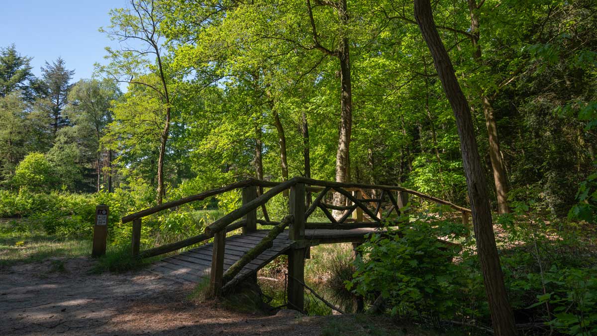 Emmerdennen in de buurt emmerdennen-haantje-bak-brug